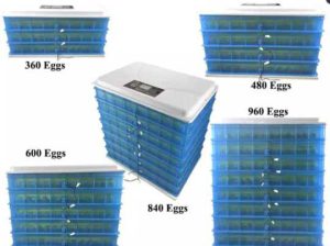 360 Egg incubator