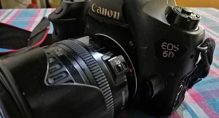 Canon 6D with 28-105mm lens