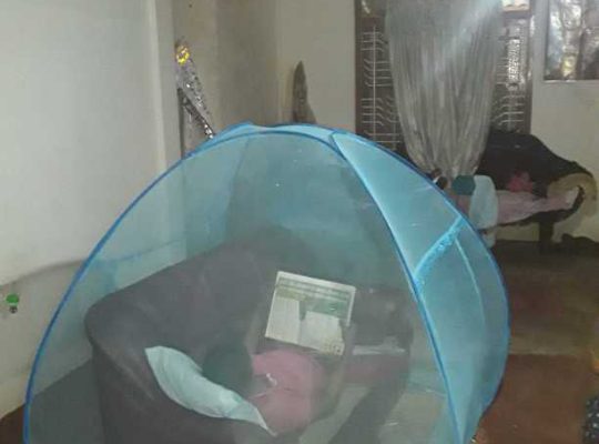 hybrid mosquito net