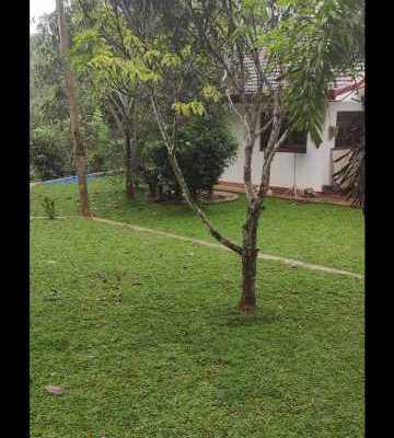 S A Garden service