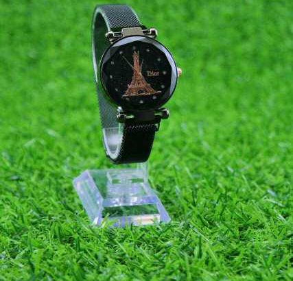 Ladies Magnet Watch