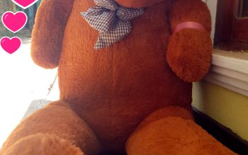 GIANT Human-Sized Teddy Bear Gift