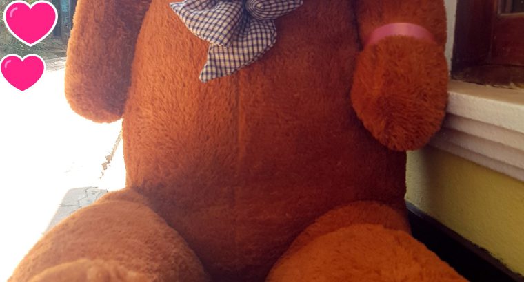 GIANT Human-Sized Teddy Bear Gift