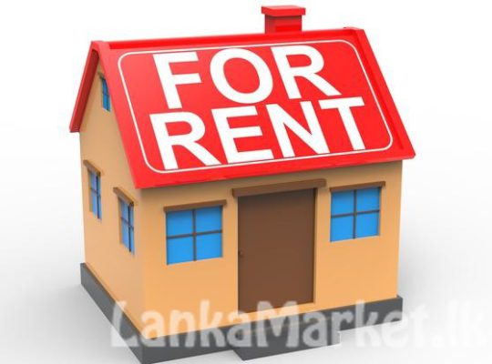 House for Rent