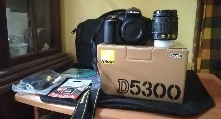 Nikon D5300