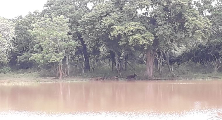 Commercial property for sale