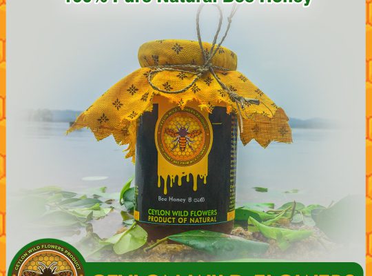 Wold Bee Honey – 100% Pure Natural Bee Honey