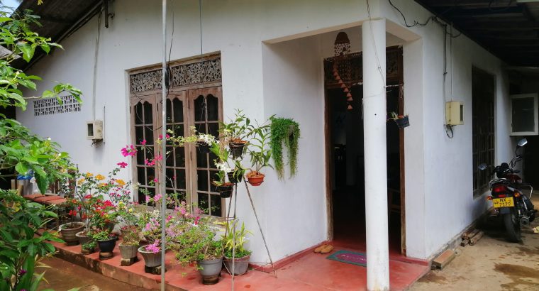 valuable house in panadura town