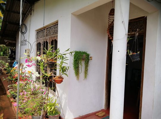 valuable house in panadura town