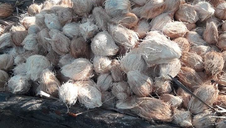 පොල් තොග වශයෙන් විකිණීමට ඇත