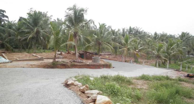 Neboda Warakagoda land for sale.