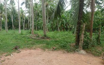 Land for sale