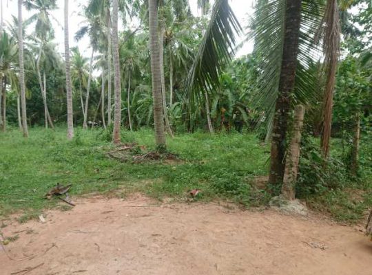 Land for sale