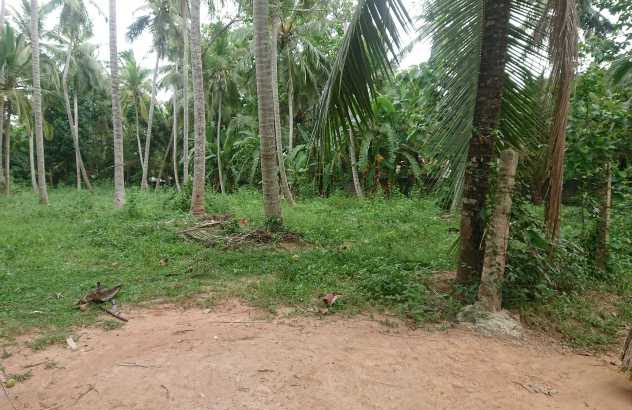 Land for sale