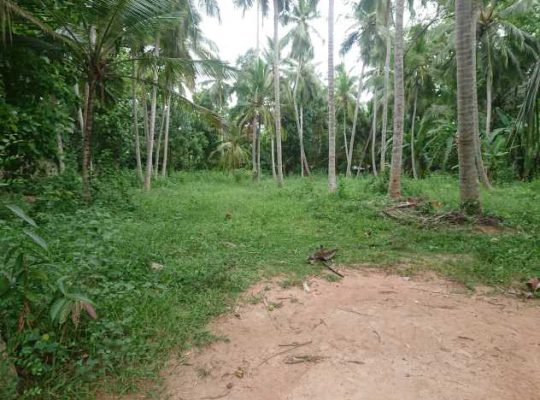 Land for sale