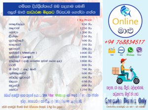 Online Fish