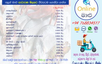 Online Fish