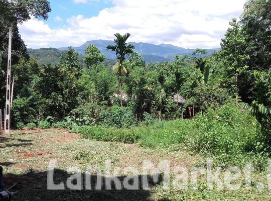 Land for sale in Matale