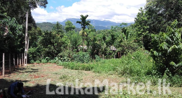 Land for sale in Matale