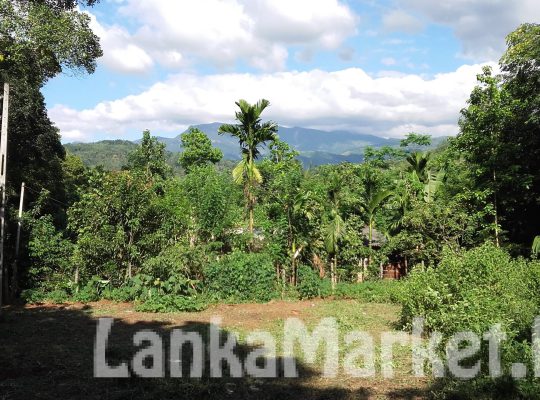 Land for sale in Matale