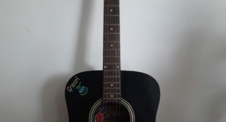Acoustic Guitar for sale