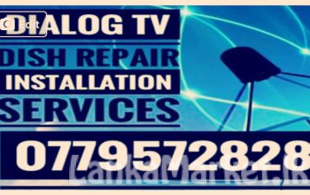 Dialog TV Dish Repair Installation Services