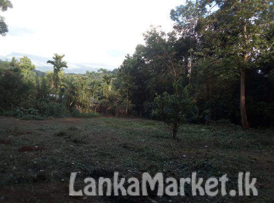 Land for sale in Matale