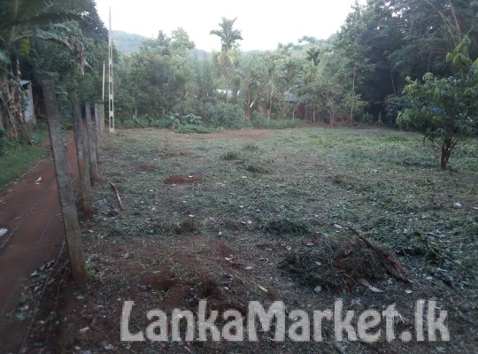 Land for sale in Matale