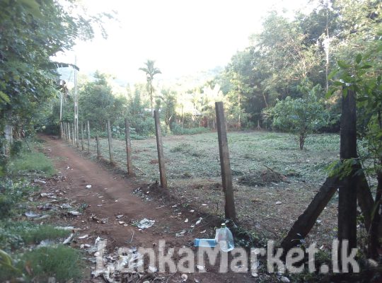 Land for sale in Matale