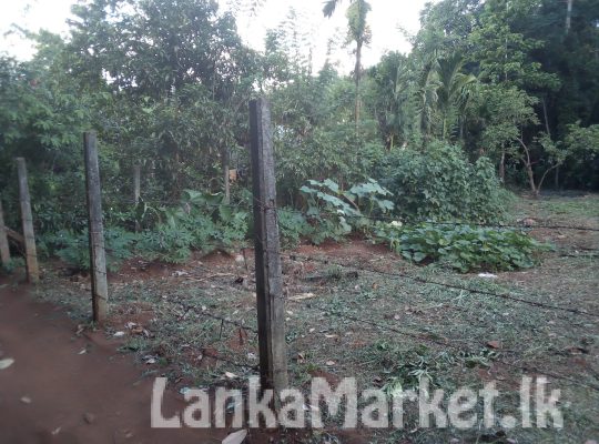 Land for sale in Matale