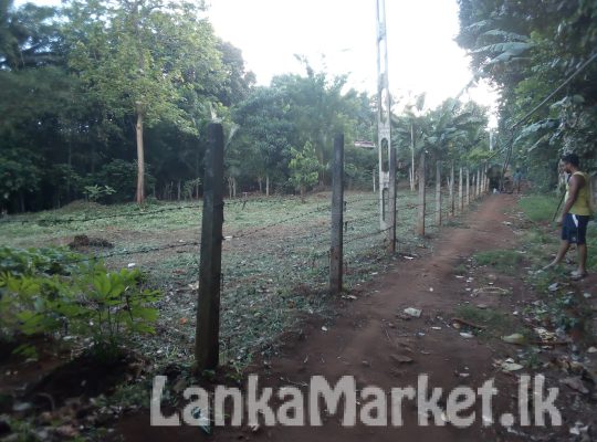 Land for sale in Matale