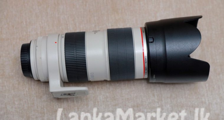 Canon EF 70-200mm f/2.8L IS II USM Telephoto Zoom Lens