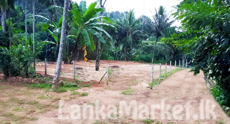 බදුල්ල, හාලිඇල පර්චස් 11 ඉඩම් 3ක් විකිණීමට / 3 x 11 Perches Lands Hali-Ela, Badulla, Sri Lanka