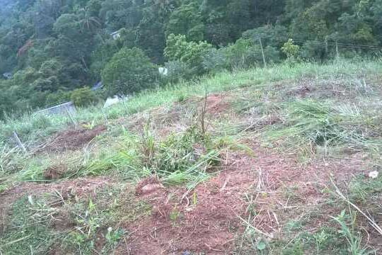 land for sale in kandy