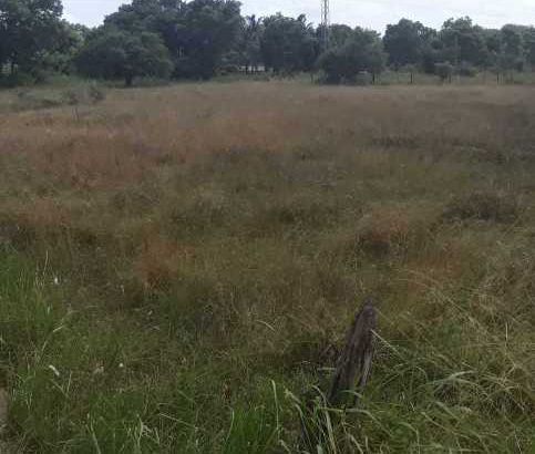 Medawachchiya Mannaram pradana margayata muhunala akkara 4 hamaraka idamak wikinimata atha.38LKS