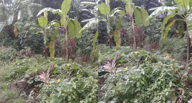 Land for Sale Near the Gampaha Town