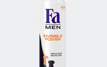 Fa Men Invisible Power Deo Spray