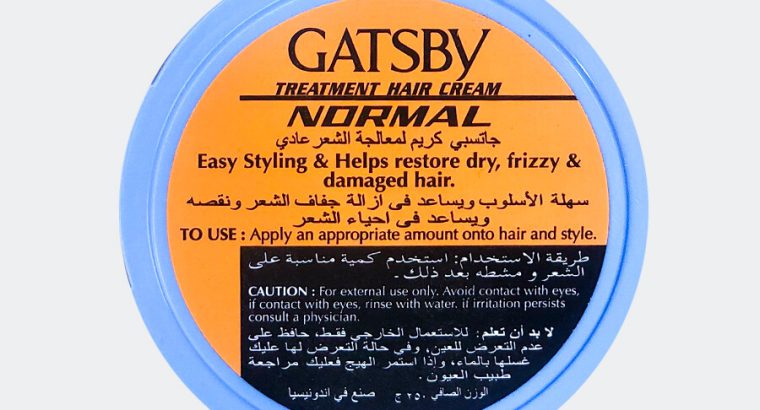 Gatsby Treatment Hair Cream Normal For Men