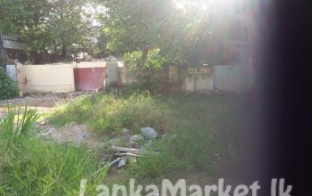 LAND for sale in Wattala town
