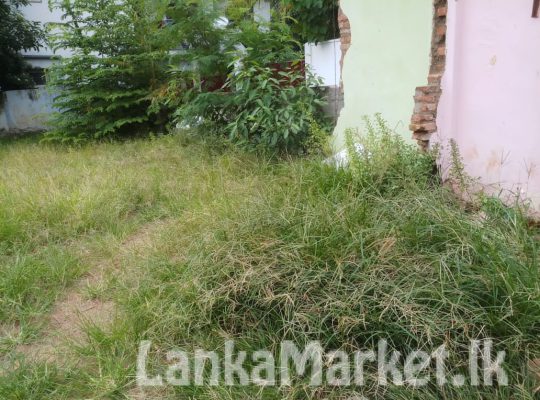 LAND for sale in Wattala town