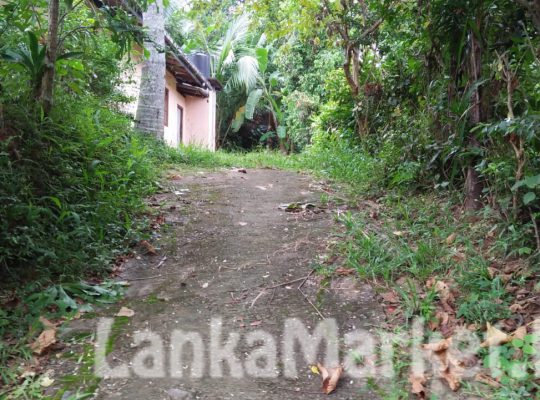 House For Sale In Homagama,Pitipana