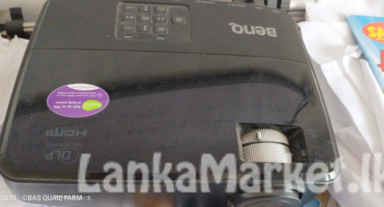 Projector with screen