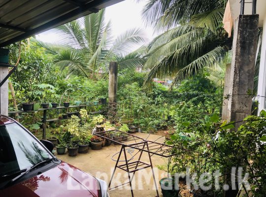 Luxury house for sale in gampola