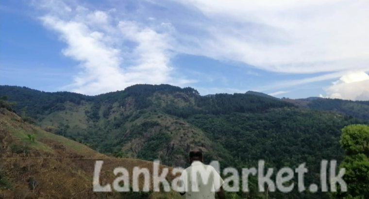 Tourism Camping Land