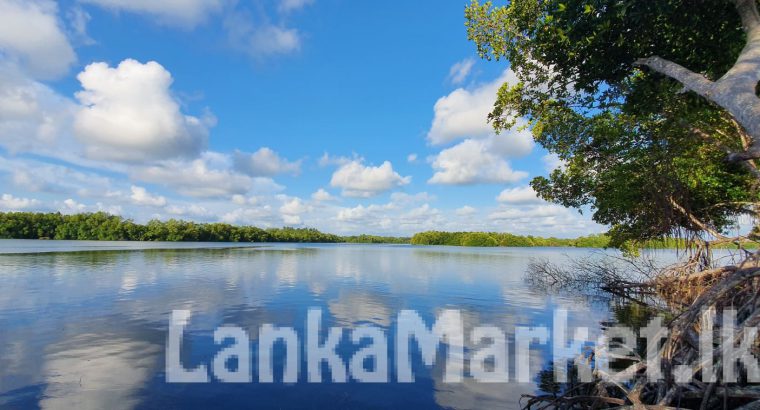 Amazing 270 perch Riverland Bentota