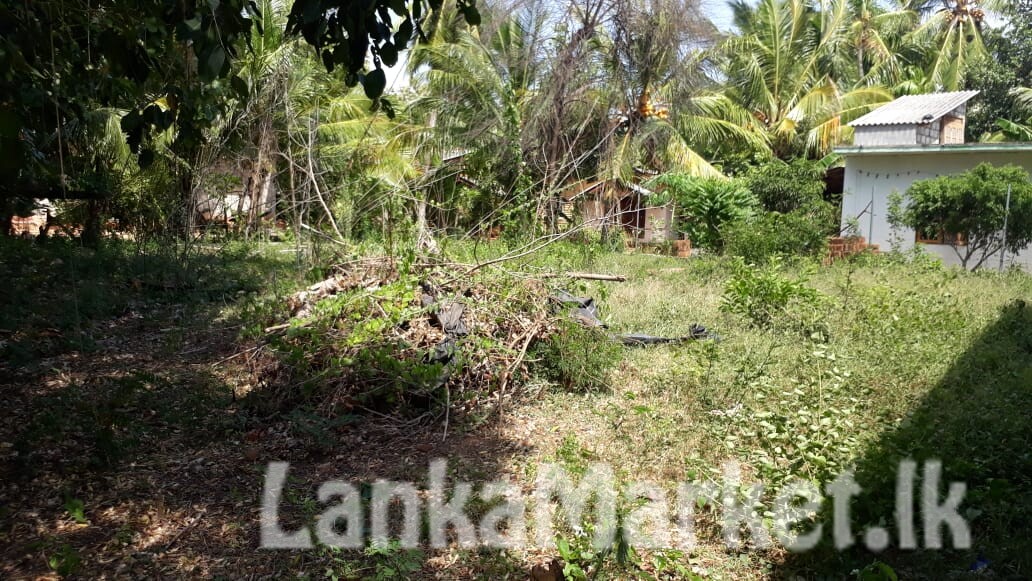 Land for sale in sri lanka