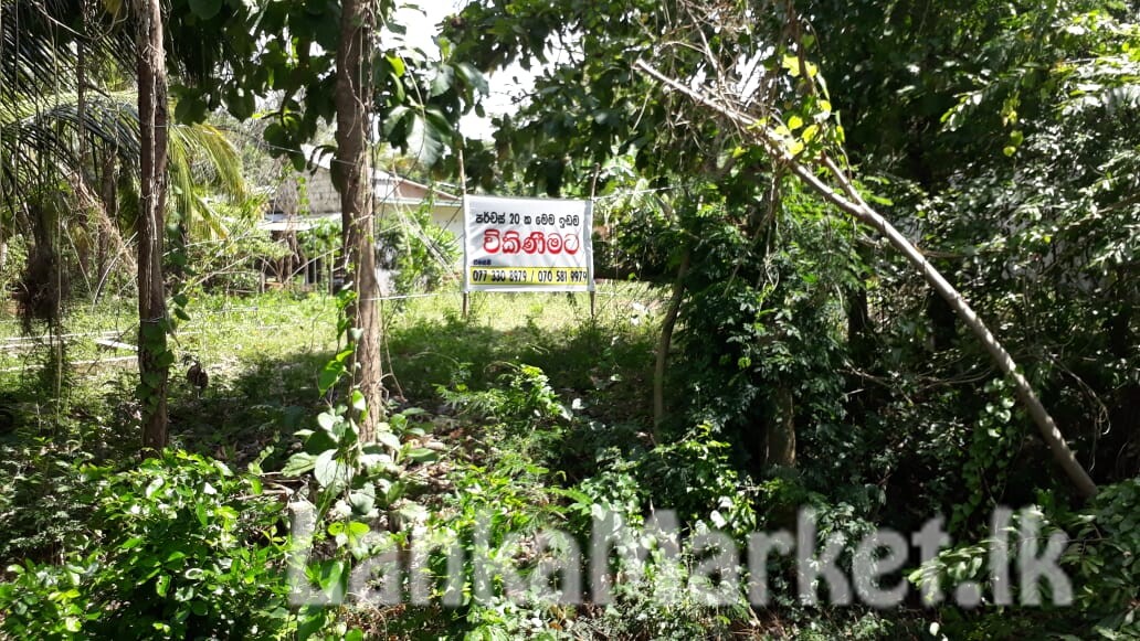 Land for sale in sri lanka