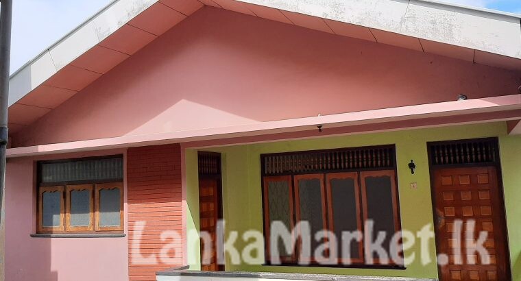 Commercial property and house for sale