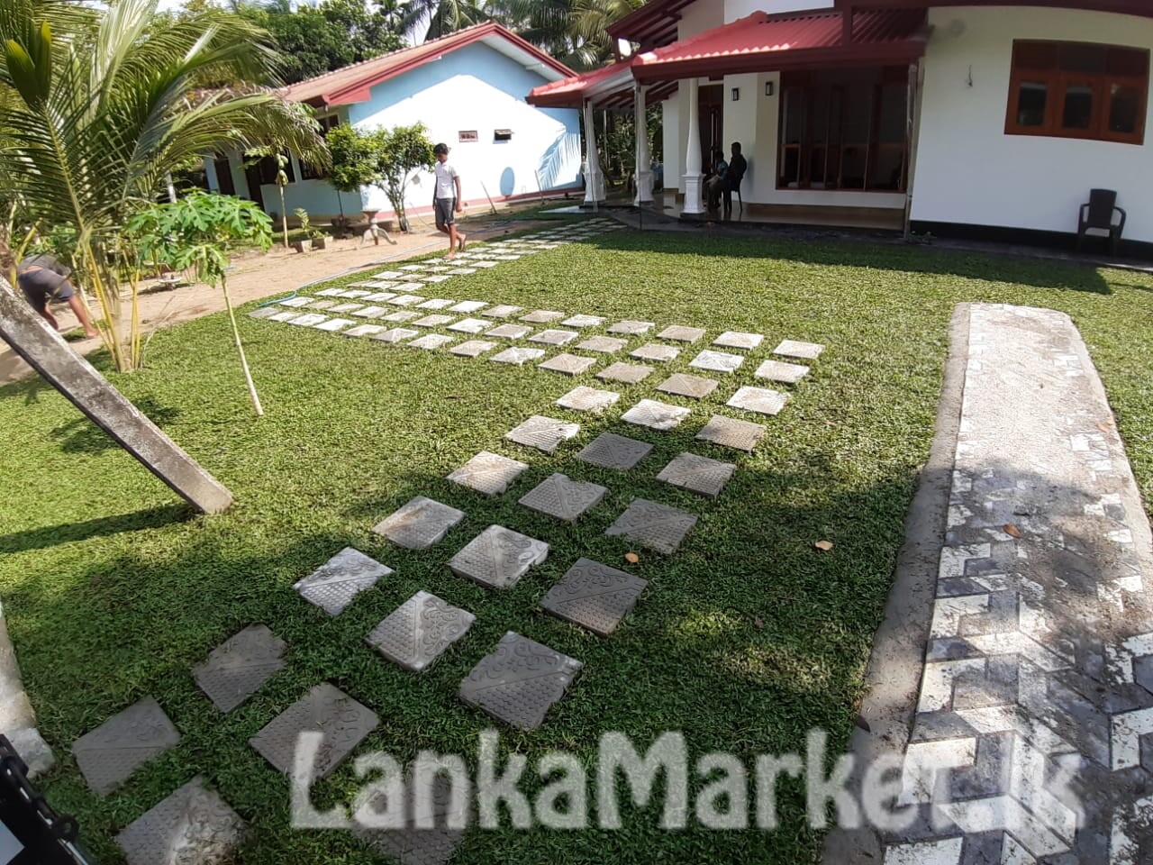 Landscaping service with Malasiyan carpet grass