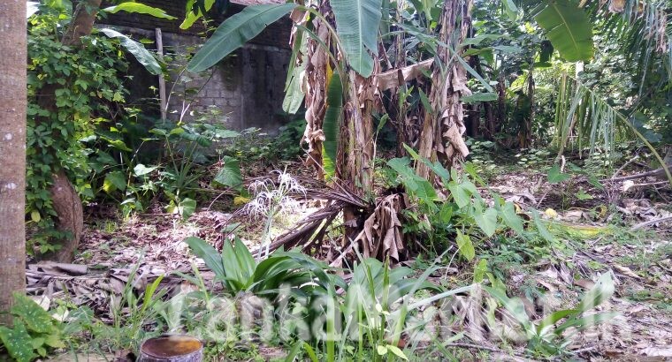 අගනා ඉඩම විකිණීමට